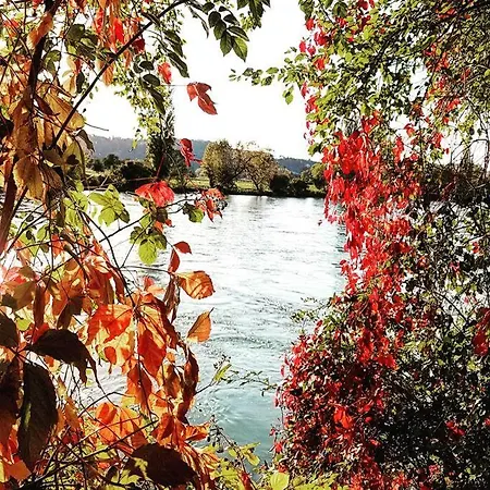 Suedwind - Beautiful Premium With 1 Bedroom Near Rhine Falls & Zurich Airport In Apartament