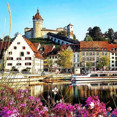 Apartament Suedwind - Beautiful Premium With 1 Bedroom Near Rhine Falls & Zurich Airport In *